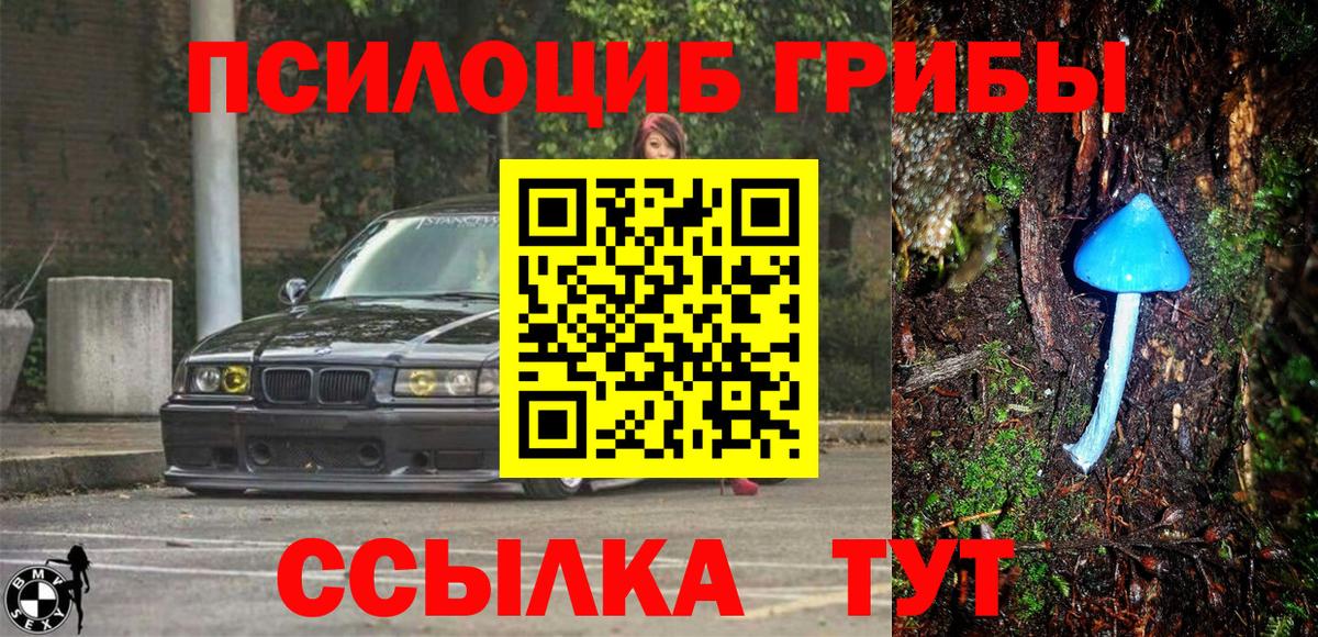 Галлюциногенные грибы GOLDEN TEACHER Карпинск